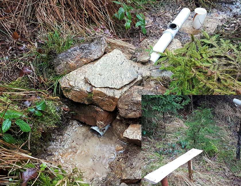 studánka Devětsilové království (12128)