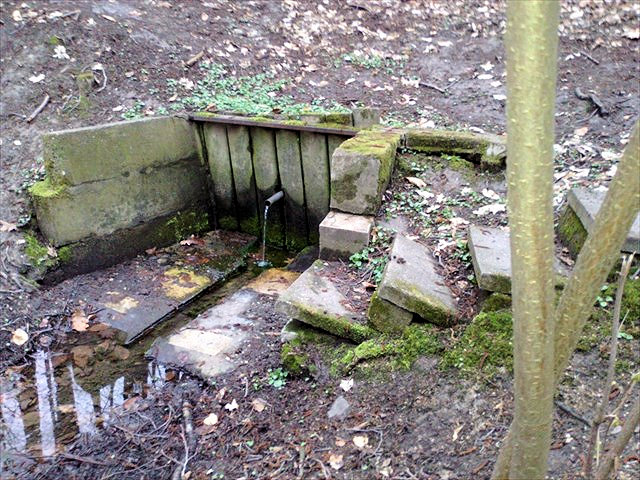 studánka Na Zbytkách (12131)