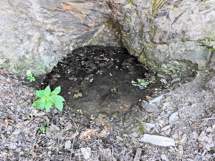 pramen Křižovnická studánka (12132)