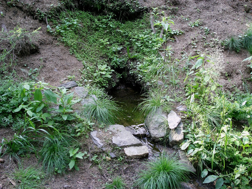 studánka bez jména (12134)