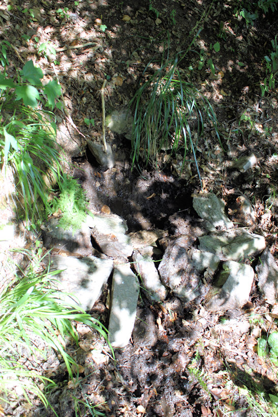 studánka U Hasičské cesty (12140)