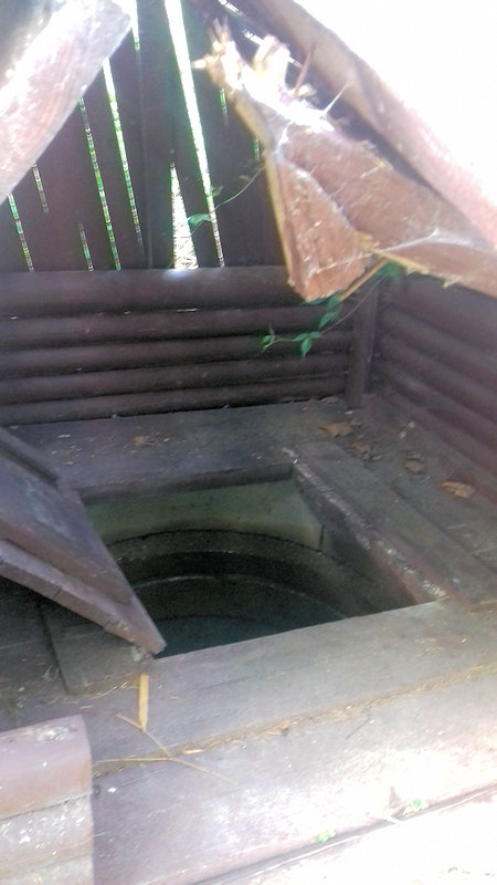 studánka Pod Vysokou Roudnou (12144)