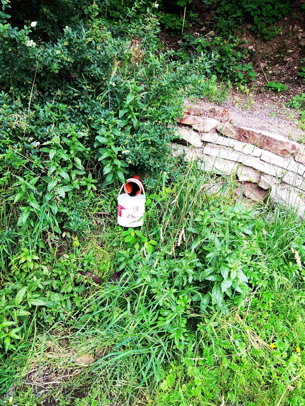 studánka Na cestě (12146)