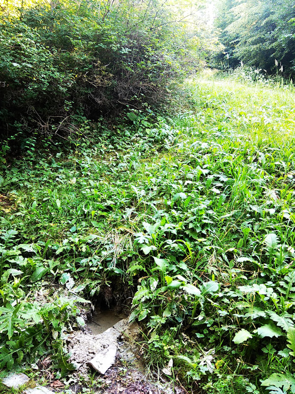 Pavlova studánka (12174)