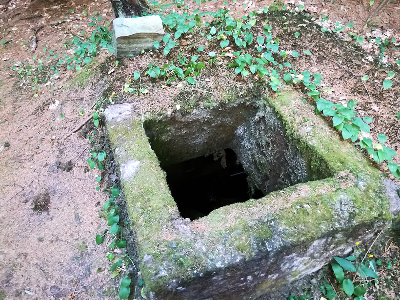 jiný vodní zdroj Martinovo údolí (12177)