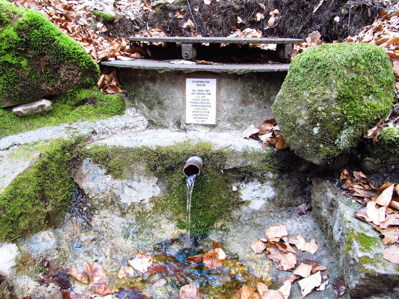 studánka Pod skalou (12181)
