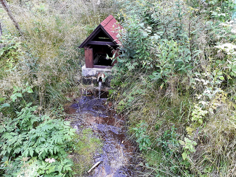 studánka Pod Rozhledem (12191)