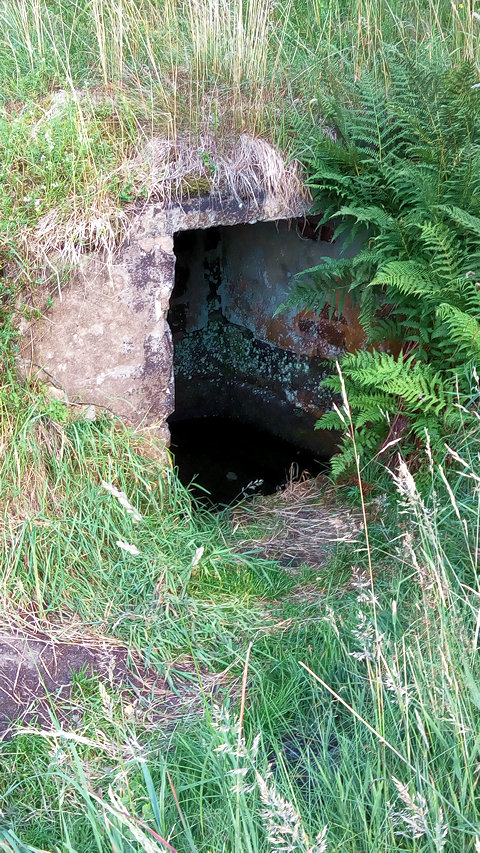 studánka bez jména (12199)