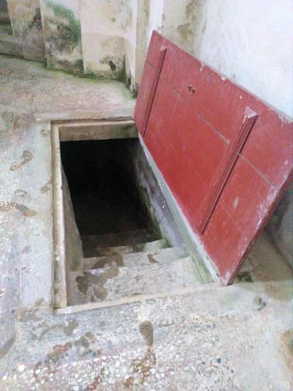 studánka bez jména (12203)