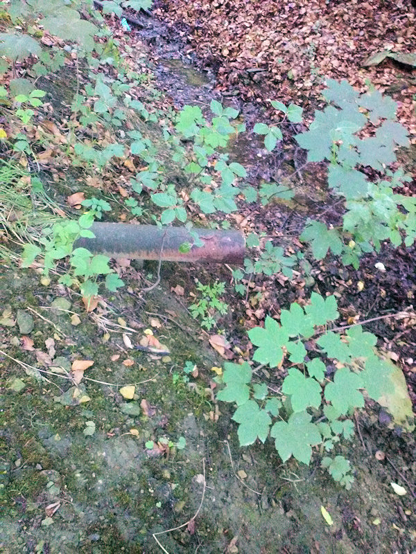studánka Nad potokem (12206)