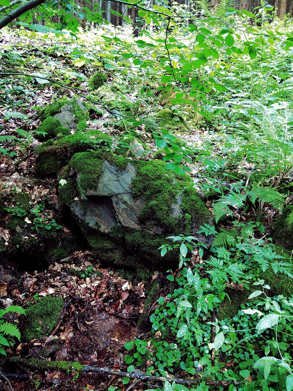 studánka Kobylí důl (12210)