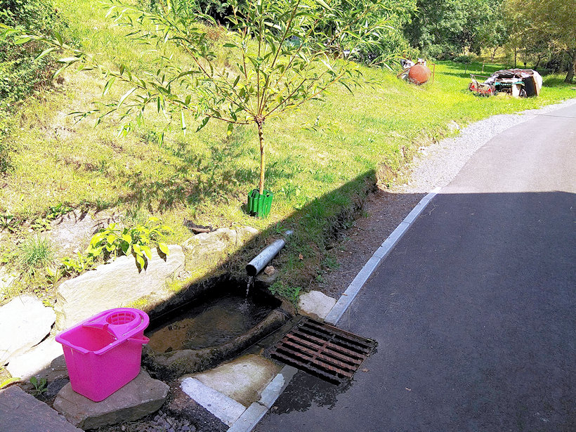Stanovnická studánka (12216)