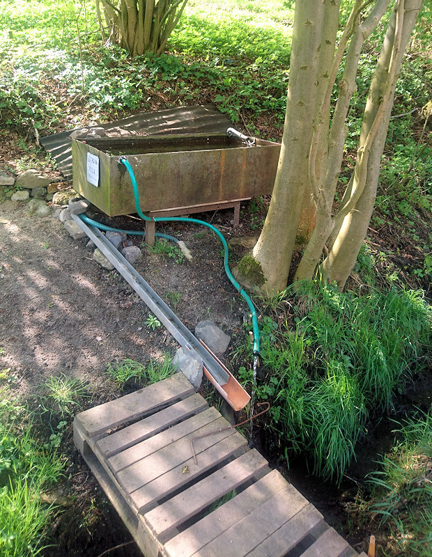 studánka bez jména (12219)