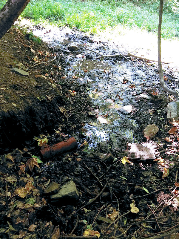 studánka V Kulině (12220)