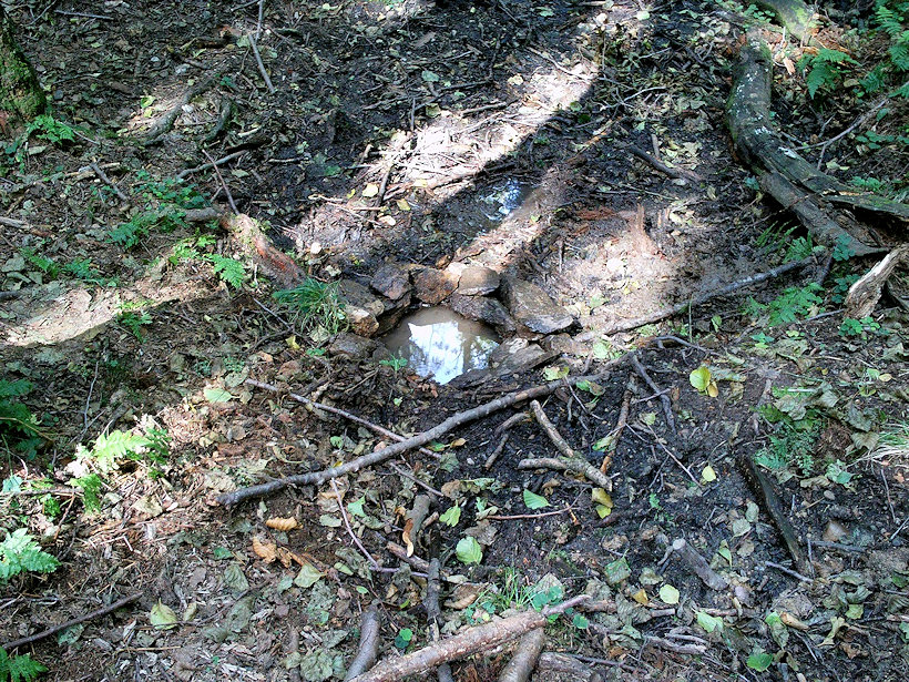 studánka bez jména (12241)