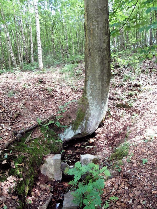 studánka V Brodkách (12245)