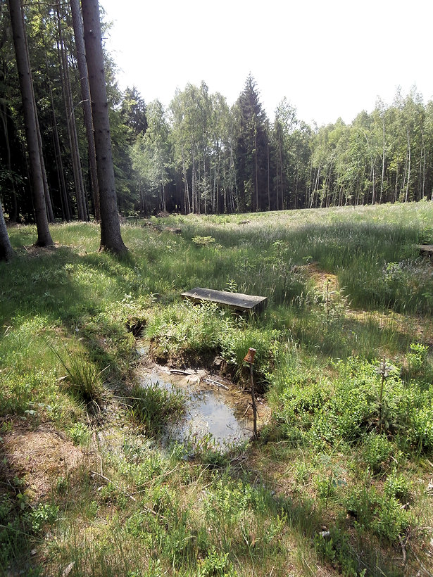 prameniště U Krchůvku (12246)