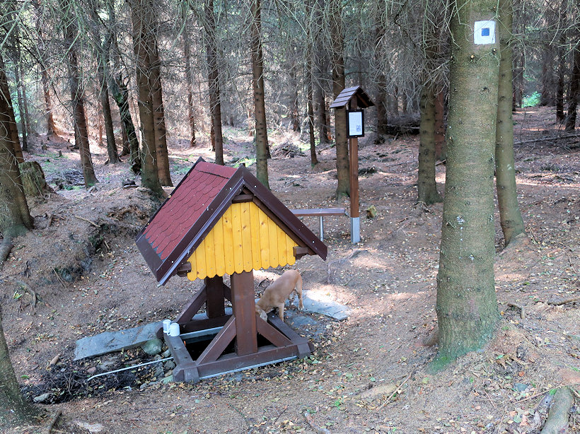 studánka V Kominíku (12261)