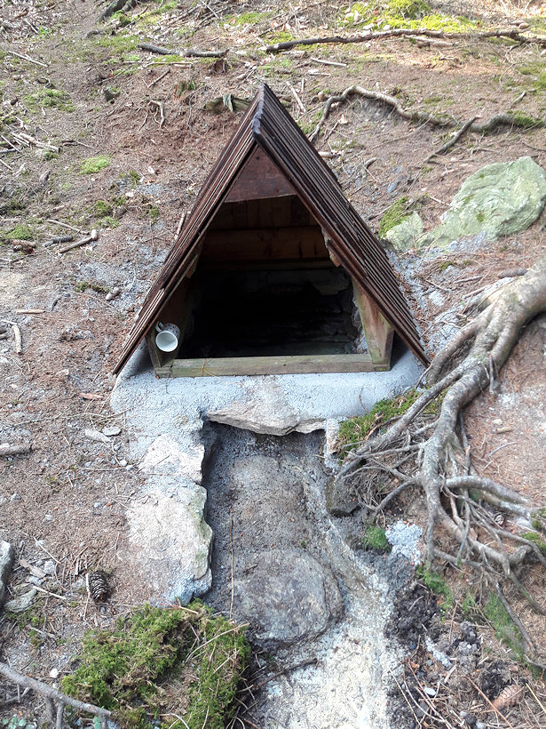 Lesní studánka (12263)