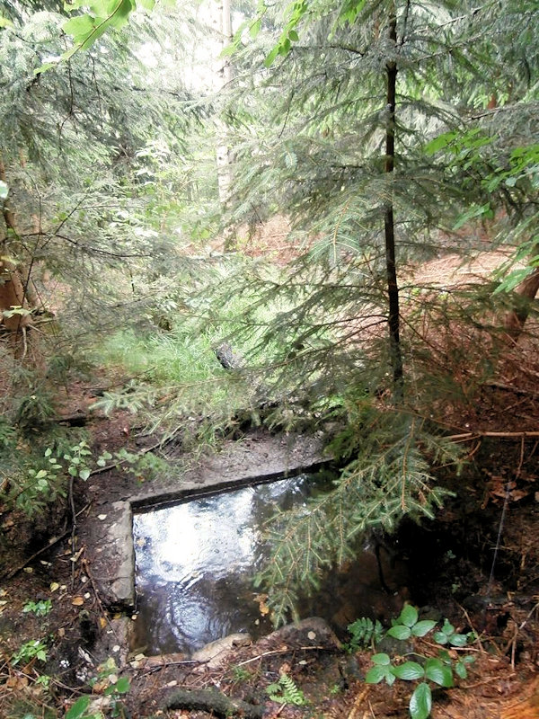 studánka Pod myslivnou (12265)