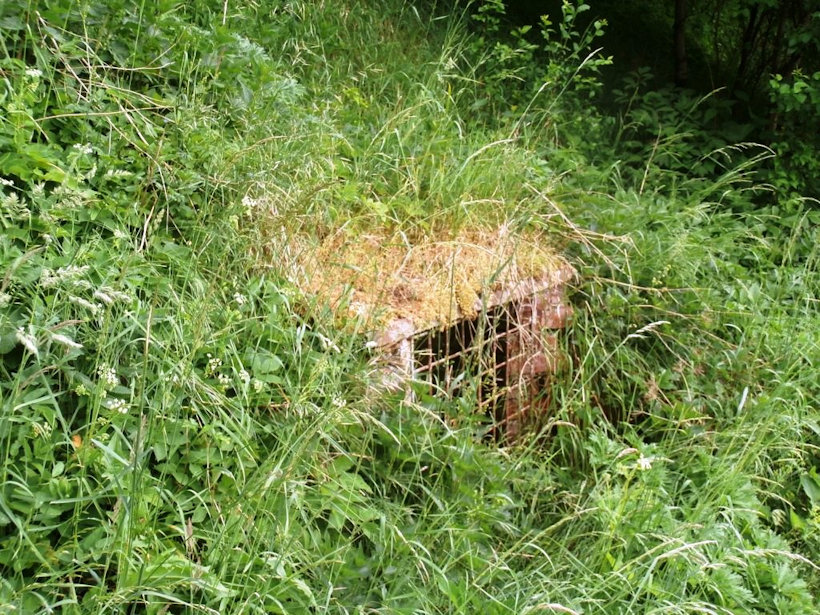 studánka bez jména (12266)