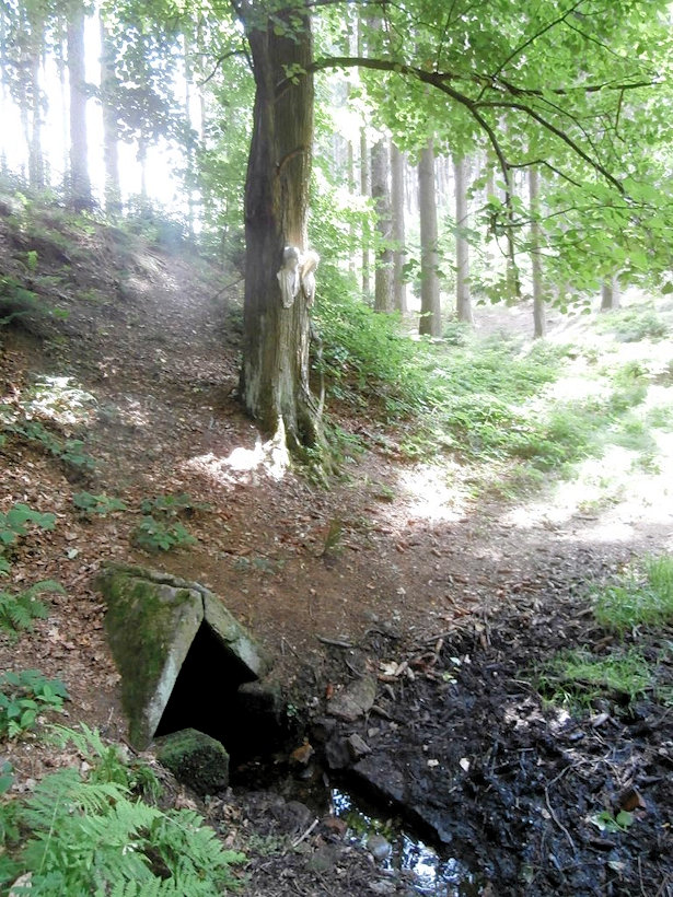 studánka Kocournice (12269)