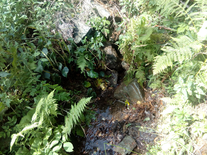 studánka Rajštačka (12277)