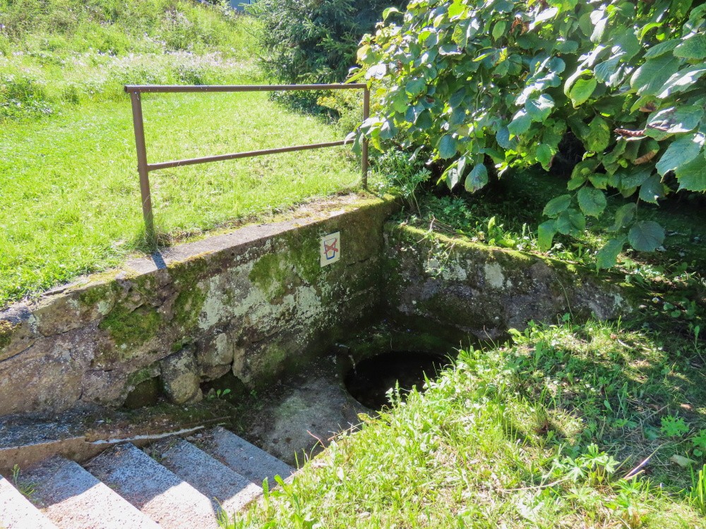 studánka bez názvu (12289)