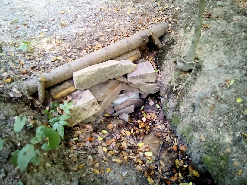 studánka Stříbrný díl (12301)
