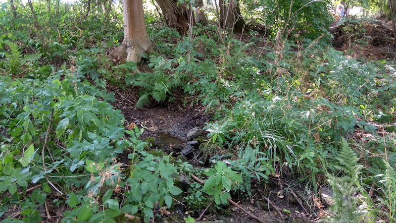 Růženčina studánka (12305)