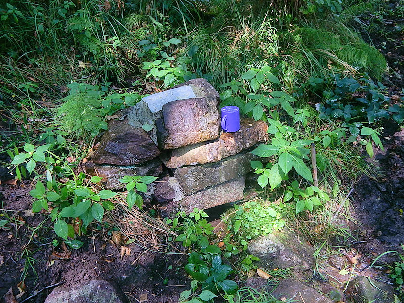 Rysí studánka (12310)