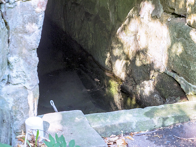 studánka bez jména (12325)