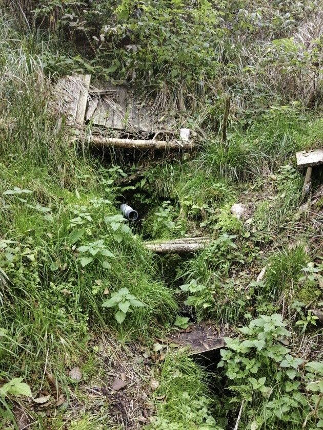 Kouzelná brodecká studánka (12328)