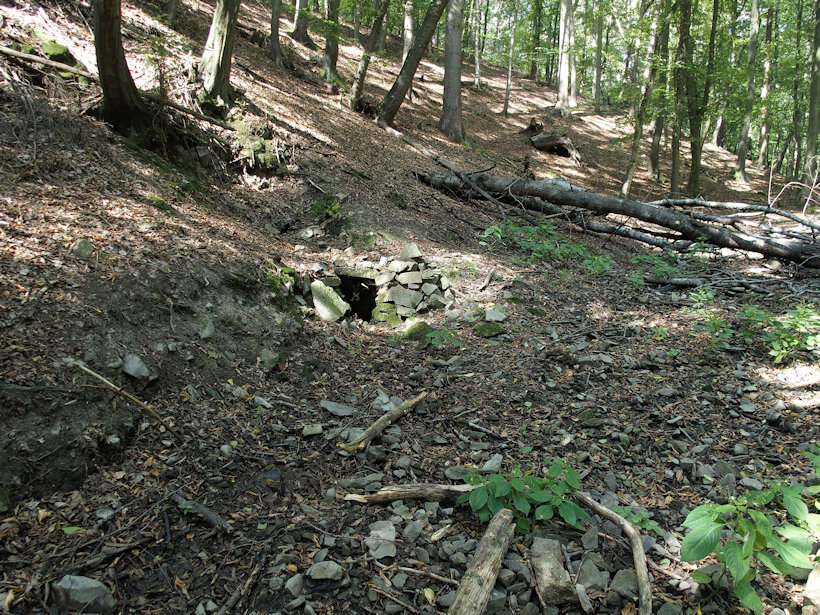 studánka bez jména (12341)