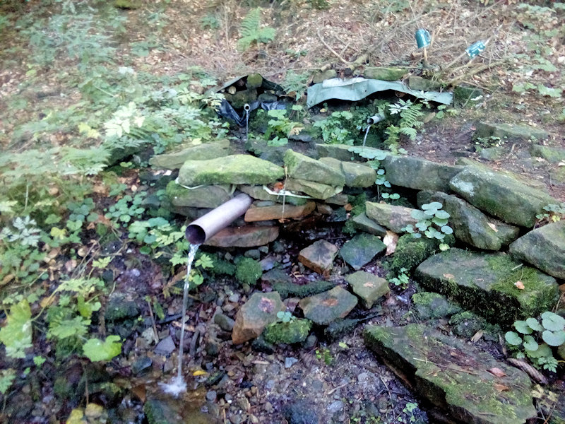 studánka Ježibabka (12353)