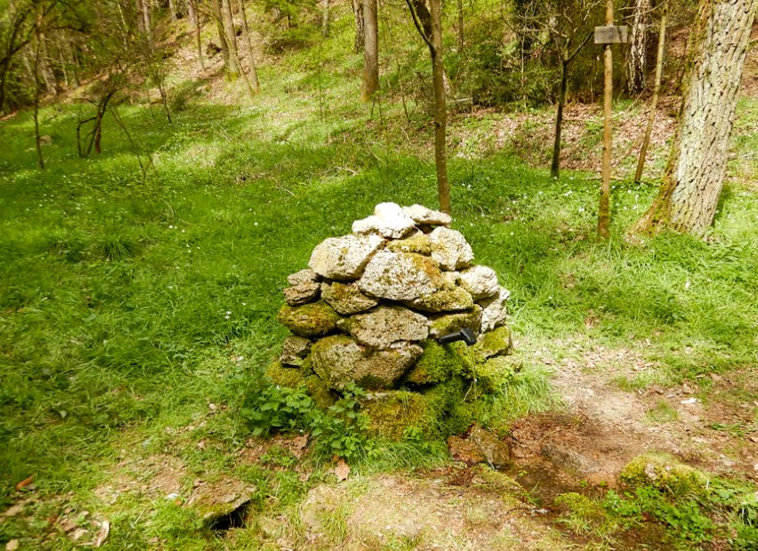 pramen Pod Skalou (12362)