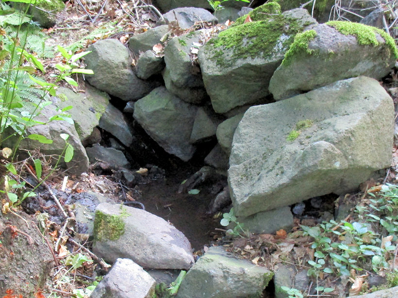 studánka Průčelská (12364)