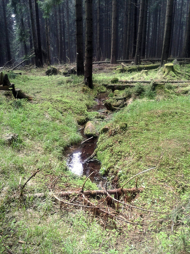 prameniště Nad myslivnou (12368)