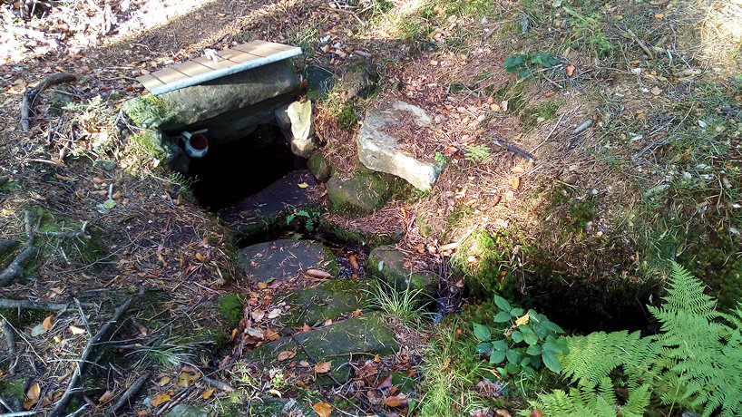 studánka bez jména (12377)