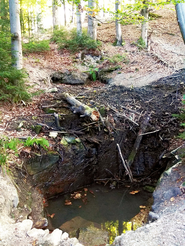 studánka Pod Antoníčkem (12380)