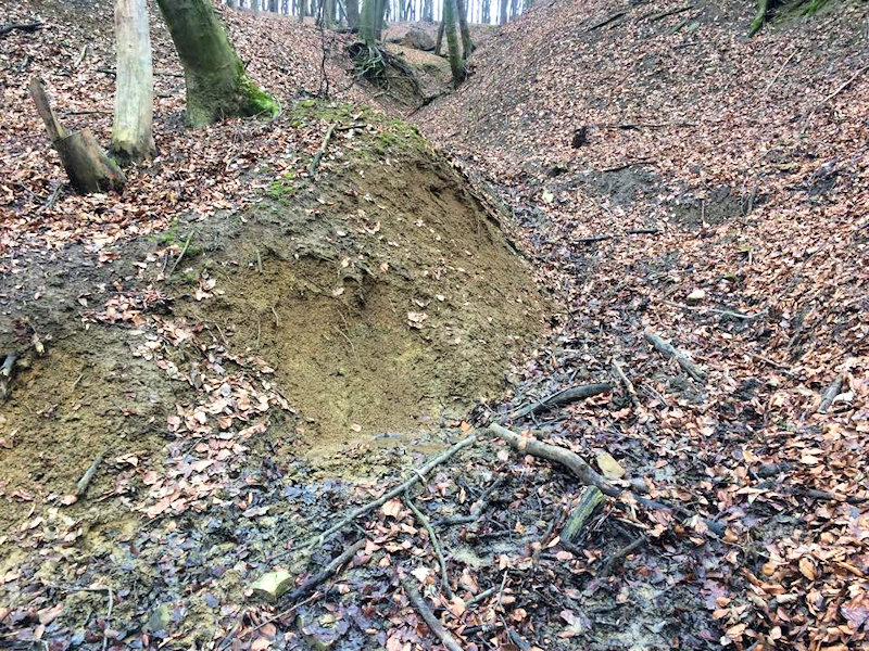 studánka Ve žlebě (12382)