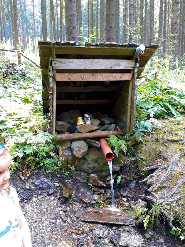 studánka Pod železným vrchem (12383)