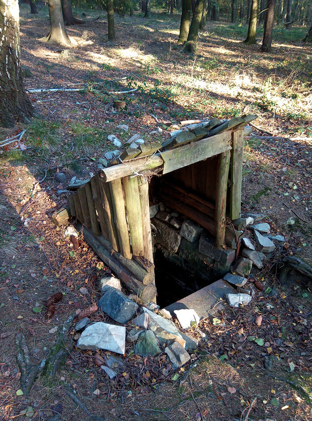 studánka bez jména (12392)