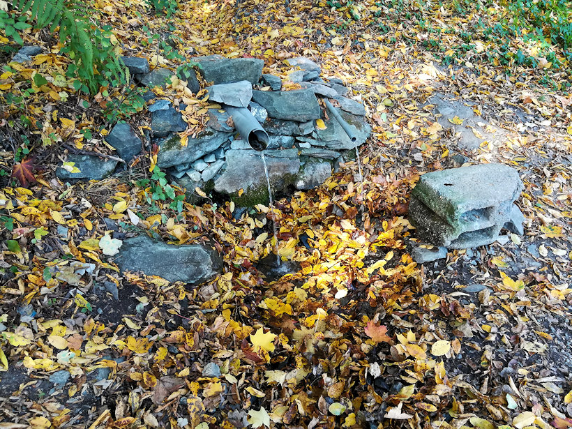 studánka Svatojánské proudy (12395)