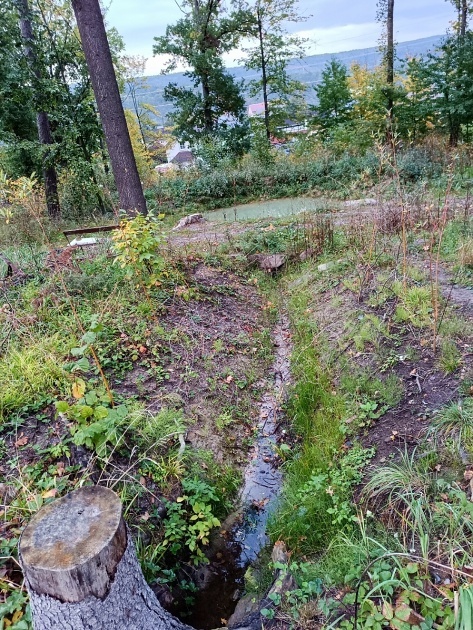 Oldřichovská studánka (12398)