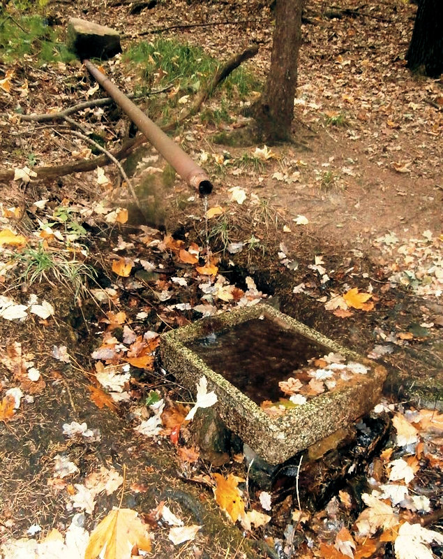 studánka bez jména (12399)