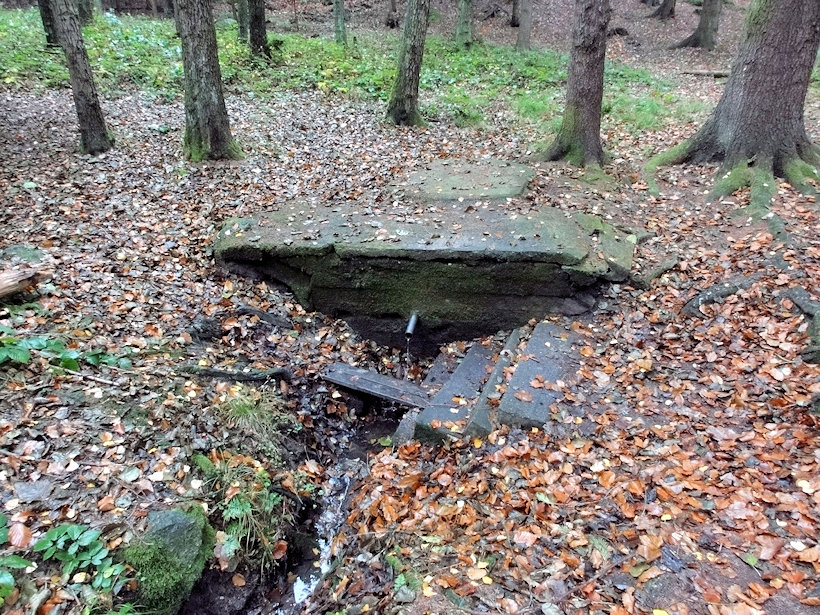 studánka Zahrádkářská (12412)
