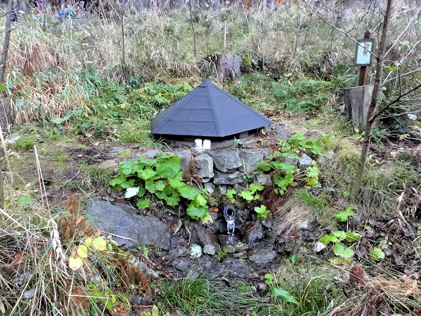 studánka Lesní (12413)