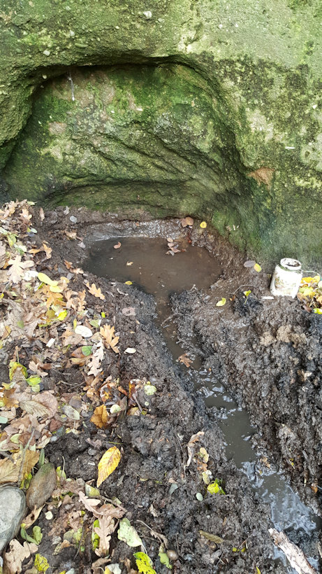 studánka bez jména (12415)