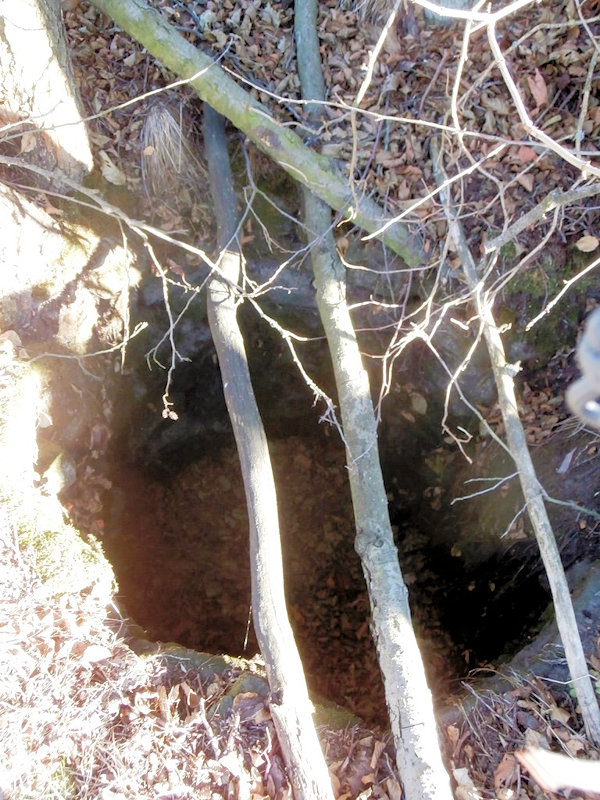 studánka bez jména (12424)